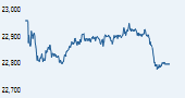 IISL CNX 500