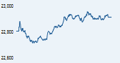 IISL CNX 500